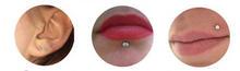 Load image into Gallery viewer, 316L Surgical Steel Labret Cartilage Tragus Helix Ear Lip Nose internally Threaded 16G CZ Stud Earrings