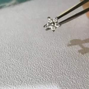 316L Surgical Steel Mini Flower Cartilage Helix Tragus Earrings