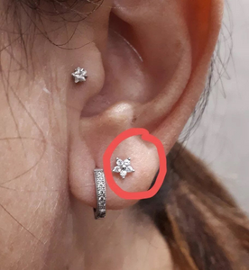 Mini Flower Cartilage Helix Tragus Earrings